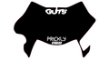 Surron Ultra Bee Front Plate Decal